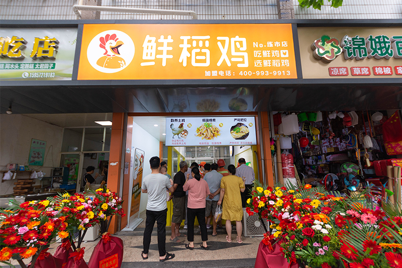 鲜稻鸡