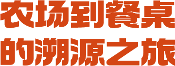 新-首页我们的优势-左侧标题图